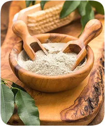 Agricultural commodities export from India - Geminate International 1