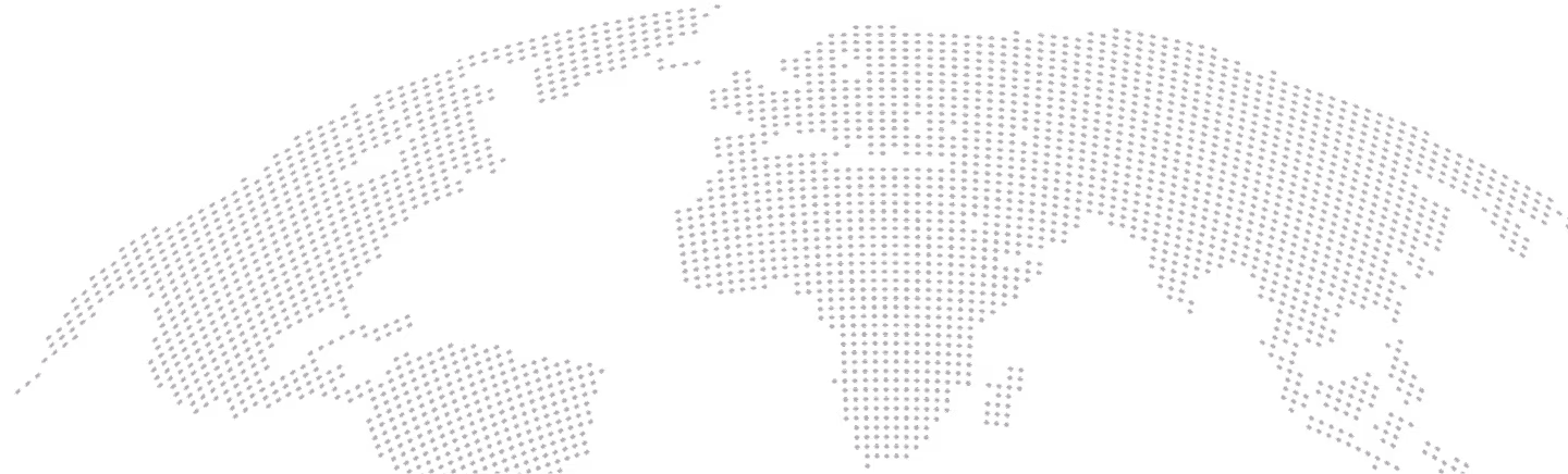 Geminate International exports dehydrated vegetables to 25+ countries including USA, Canada, Europe, Middle East